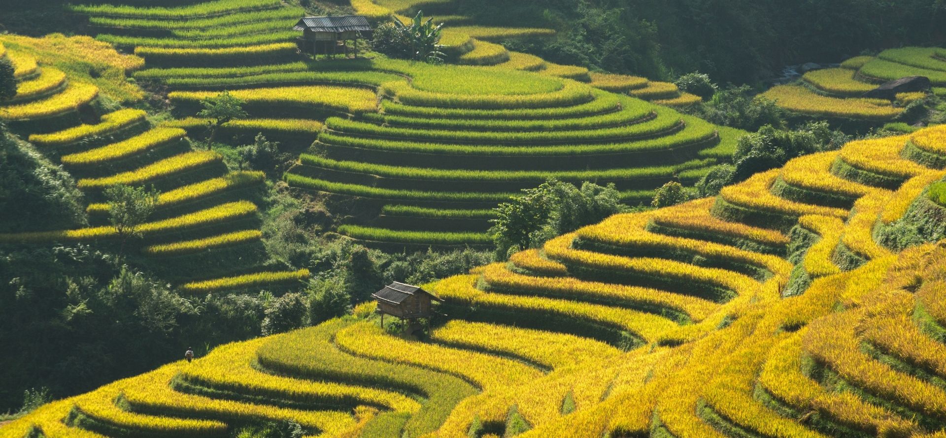 Vietnam Family Adventure Tour - 12 Days | ORIGIN VIETNAM